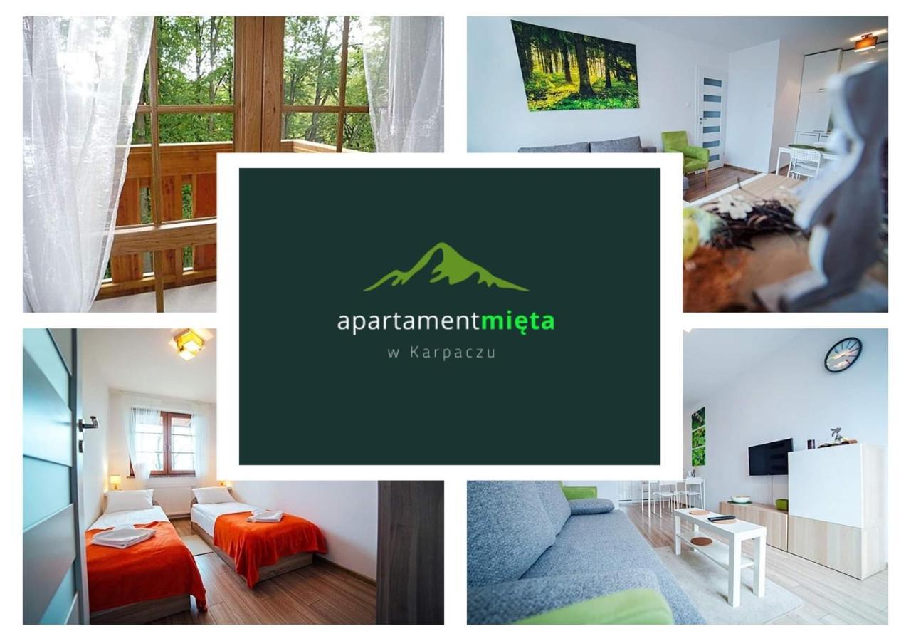 Apartament Mieta คาร์ปัตซ์ ภายนอก รูปภาพ